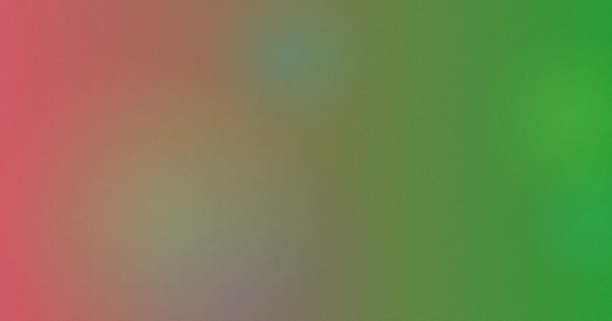 窦文涛个人资料是什么
